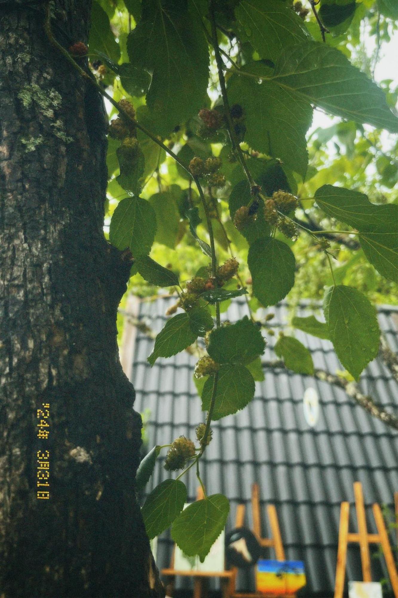 Nap Da Lat Apartman Kültér fotó