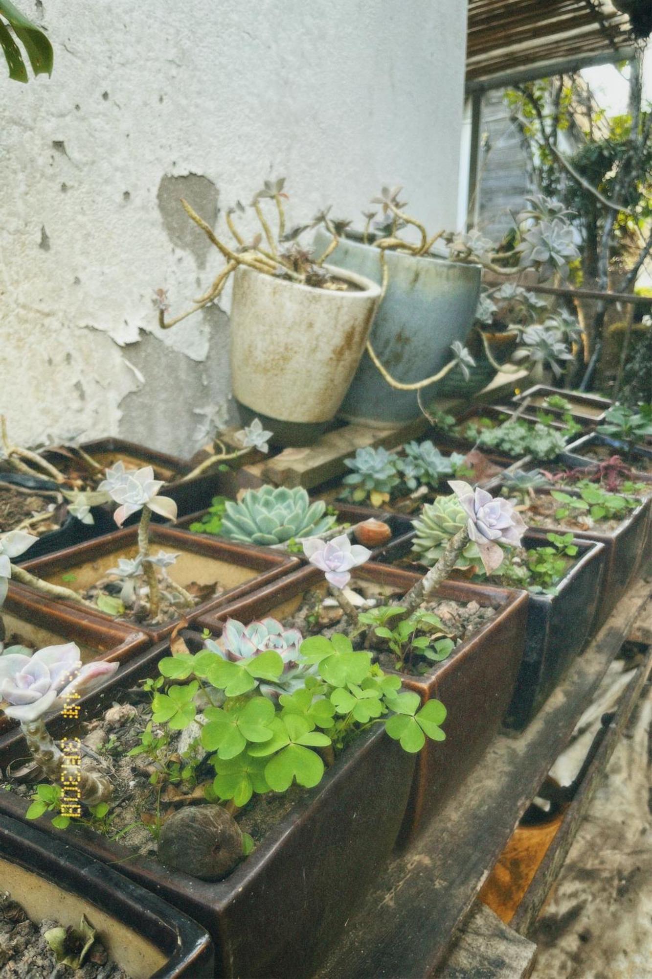 Nap Da Lat Apartman Kültér fotó