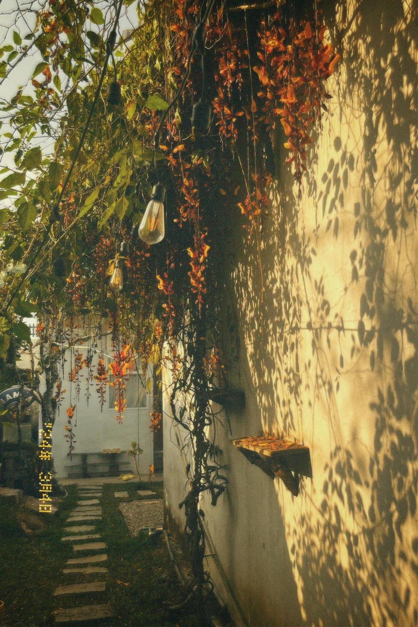 Nap Da Lat Apartman Kültér fotó