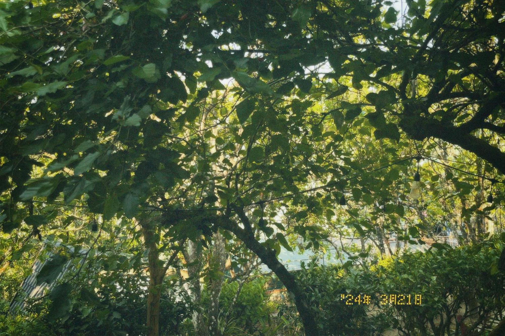 Nap Da Lat Apartman Kültér fotó
